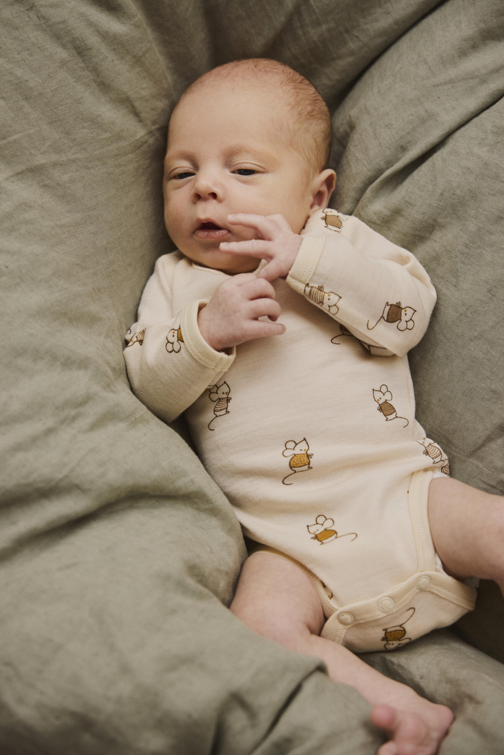 Ilgarankovis merino vilnos bodis „Peliukas“ – kreminė - Image 5