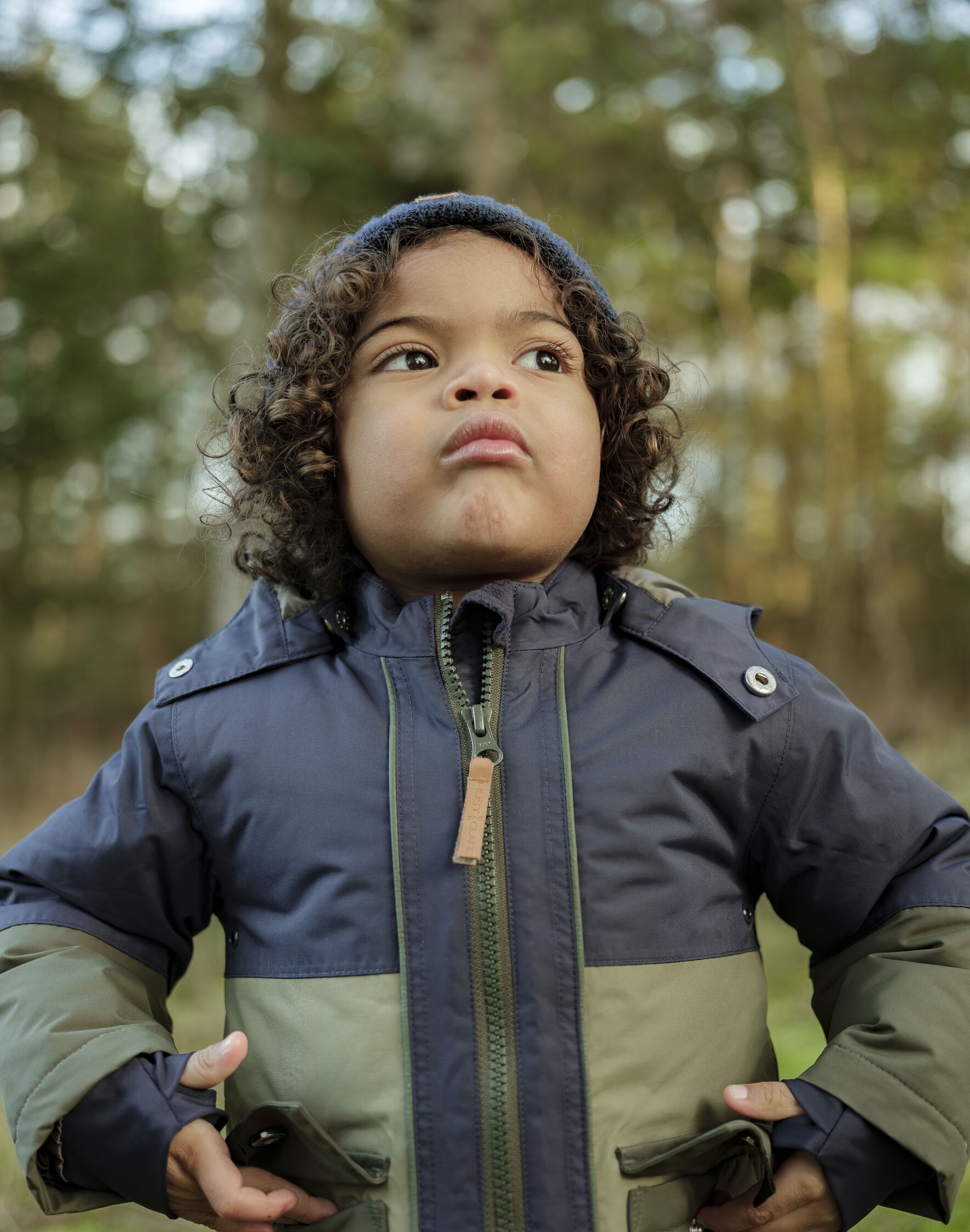 Lindberg – švediška patirtis